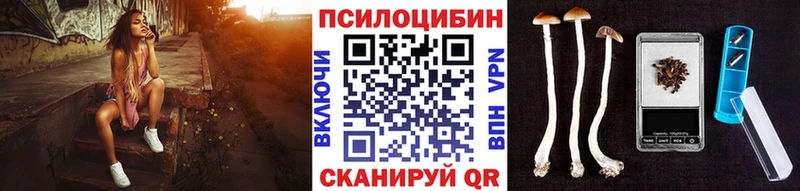 Псилоцибиновые грибы мицелий  купить наркотик  Берёзовский 